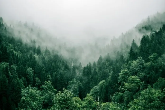 Transju'Trails 2027 : 20e édition les 5 et 6 juin dans le Jura, de 5 à 110 km de course Transju'Trails 2027 : 20e édition les 5 et 6 juin dans le Jura, de 5 à 110 km de course