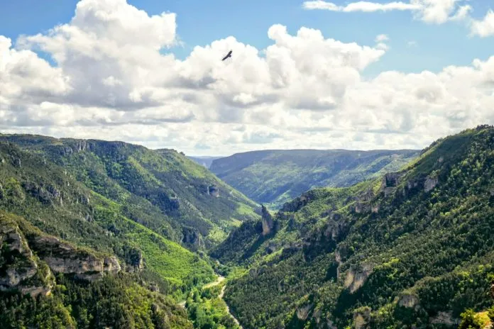 Vallée encaissée bordée de falaises calcaires et de forêts, paysage de moyenne montagne Vallée encaissée bordée de falaises calcaires et de forêts, paysage de moyenne montagne